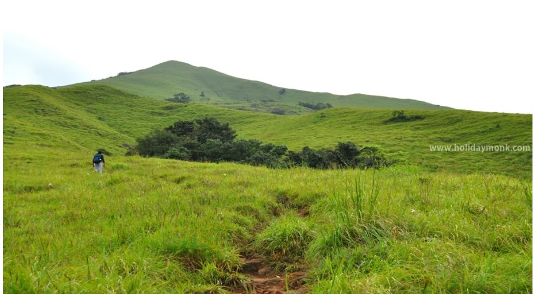 Where the Clouds Meet the Hills: Experiencing Pushpagiri from the Kodagu Side